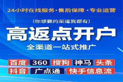 百度广告竞价与SEO结合的案例：某企业双管齐下的营销策略